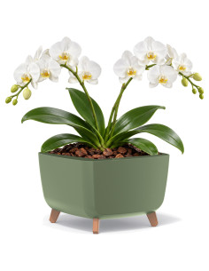 Pflanzschale eckig mit Füßen 38 × 38 × 27 cm Matt, 25 L – Grün | Töpferkönig