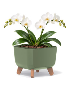 Cuenco para plantas cuadrado con patas 23 × 23 × 19 cm mate, 6 L – Verde | Töpferkönig