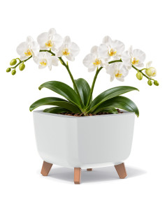 Plantenschaal vierkant op pootjes 29 × 29 × 22 cm mat, 11 L – Wit | Töpferkönig