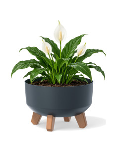 Cuenco para plantas redondo con patas Ø23 × 16 cm mate, 3,8 L – Antracita | Töpferkönig