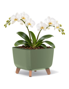 Pflanzschale eckig mit Füßen 29 × 29 × 22 cm Matt, 11 L – Grün | Töpferkönig