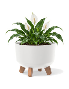 Plantenschaal rond op pootjes Ø24 × 19 cm mat, 5,1 L – Wit | Töpferkönig
