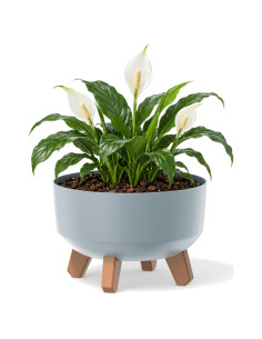 Pflanzschale rund mit Füßen Ø23 × 16 cm Matt, 3,8 L – Grau | Töpferkönig