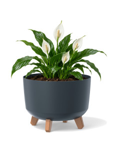 Pflanzschale rund mit Füßen Ø29 × 22 cm Matt, 9,8 L – Anthrazit | Töpferkönig