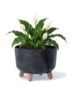 Plantenschaal rond op pootjes Ø29 × 22 cm betonlook, 9,8 L – Betonantraciet | Töpferkönig