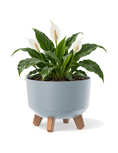 Ciotola per piante rotonda con piedini Ø24 × 19 cm opaca, 5,1 L – Grigio | Töpferkönig