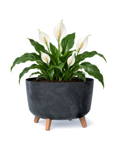 Ciotola per piante rotonda con piedini Ø39 × 27 cm effetto cemento, 21,5 L – Antracite cemento | Töpferkönig
