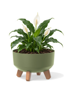 Pflanzschale rund mit Füßen Ø23 × 16 cm Matt, 3,8 L – Grün | Töpferkönig