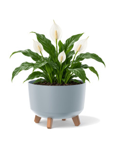 Plantenschaal rond op pootjes Ø29 × 22 cm mat, 9,8 L – Grijs | Töpferkönig