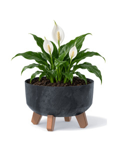 Plantenschaal rond op pootjes Ø23 × 16 cm betonlook, 3,8 L – Betonantraciet | Töpferkönig