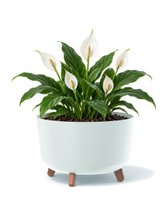 Pflanzschale rund mit Füßen Ø39 × 27 cm Matt, 21,5 L – Weiß | Töpferkönig