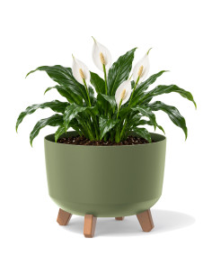 Cuenco para plantas redondo con patas Ø29 × 22 cm mate, 9,8 L – Verde | Töpferkönig