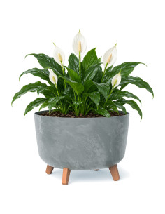 Vasque ronde sur pieds Ø39 × 27 cm aspect béton, 21,5 L – Béton gris | Töpferkönig