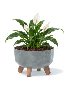 Pflanzschale rund mit Füßen Ø23 × 16 cm Beton-Optik, 3,8 L – Beton Grau | Töpferkönig