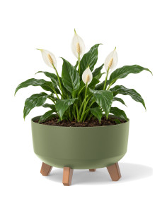 Cuenco para plantas redondo con patas Ø28 × 18 cm mate, 6,8 L – Verde | Töpferkönig