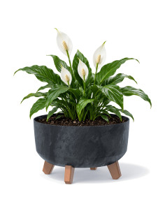 Ciotola per piante rotonda con piedini Ø28 × 18 cm effetto cemento, 6,8 L – Antracite cemento | Töpferkönig