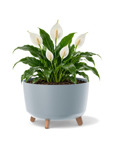Plantenschaal rond op pootjes Ø39 × 27 cm mat, 21,5 L – Grijs | Töpferkönig