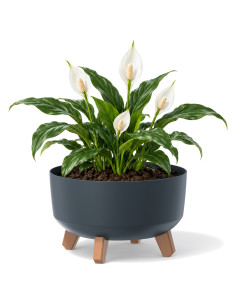 Vasque ronde sur pieds Ø28 × 18 cm mate, 6,8 L – Anthracite | Töpferkönig