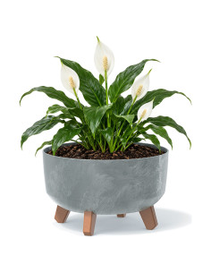 Cuenco para plantas redondo con patas Ø28 × 18 cm efecto hormigón, 6,8 L – Gris hormigón | Töpferkönig
