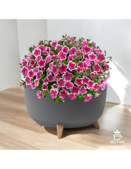 Blumentopf rund mit Füßen 47 cm – Pflanzschale XL Anthrazit recycled