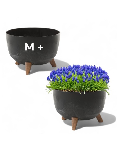 Ciotola per piante rotonda M+ Ø33 × 23 cm effetto cemento, 12,4 L – Nero cemento | Töpferkönig