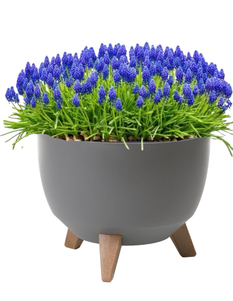 Plantenschaal rond M Ø29 × 23 cm mat, 9,3 L – Antraciet | Töpferkönig