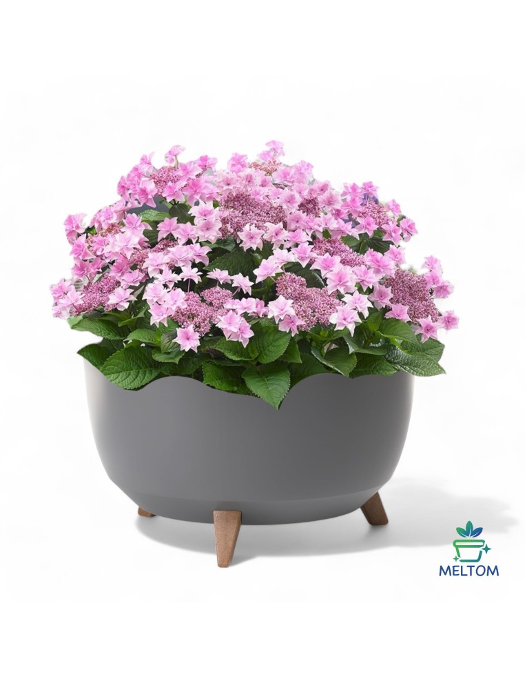 Pflanzschale rund XL Ø47 × 27 cm Matt, 31,5 L – Anthrazit | Töpferkönig