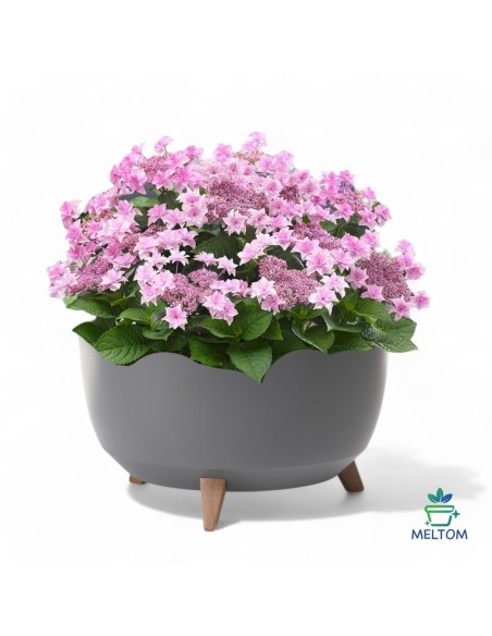 Vasque ronde XL Ø47 × 27 cm mate, 31,5 L – Anthracite | Töpferkönig