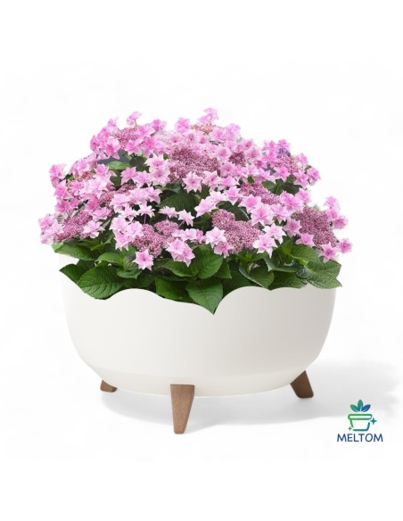 Vasque ronde XL Ø47 × 27 cm mate, 31,5 L – Crème | Töpferkönig