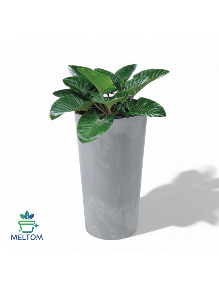 Macetero redondo XXL alto Ø40 × 75 cm efecto hormigón, 76 L – Gris hormigón | Töpferkönig