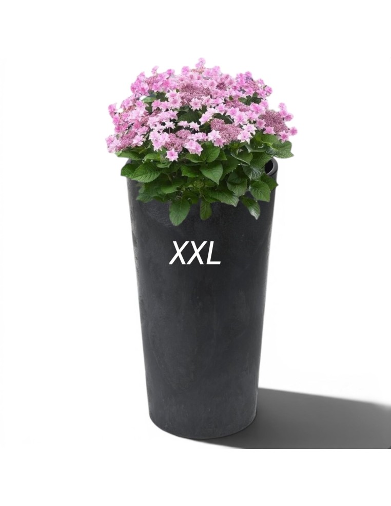 Pot haut rond XXL Ø40 × 75 cm aspect béton, 76 L – Béton noir | Töpferkönig