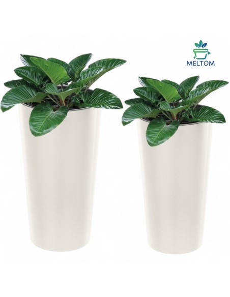 Plantenbak rond L hoog Ø29 × 57 cm hoogglans met bewateringssysteem, 28 L – Crème | Töpferkönig