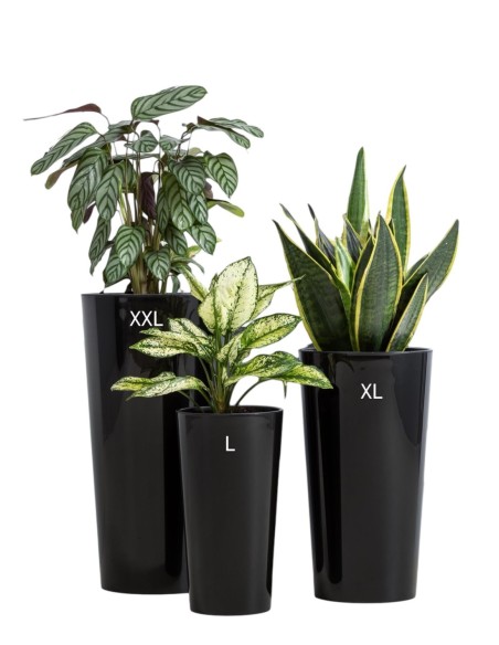 Fioriera rotonda L alta Ø25 × 46 cm lucida con sistema di irrigazione, 21 L – Nero | Töpferkönig