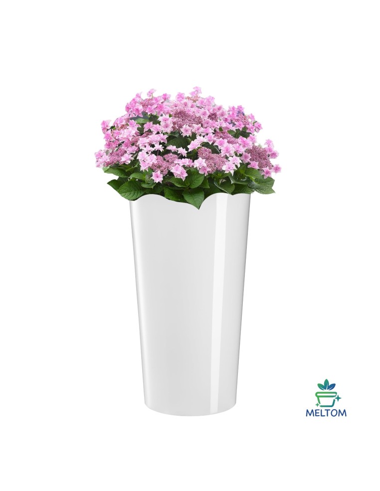 Juego de 2 maceteros redondos altos Ø25 × 47 + Ø29 × 57 cm brillantes – Blanco | Töpferkönig
