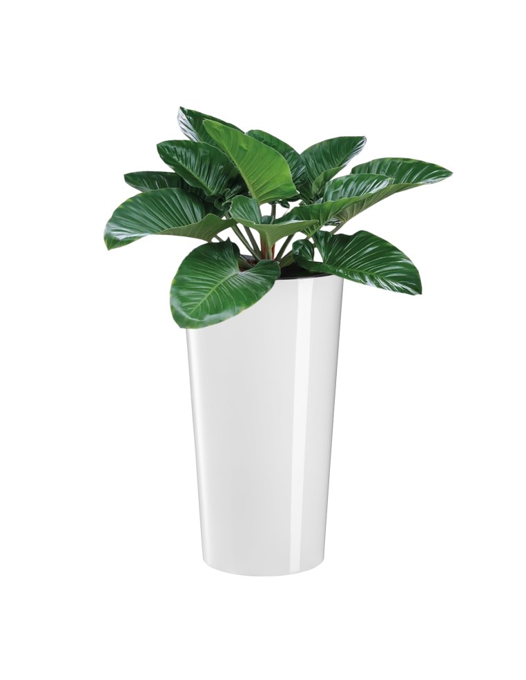 Blumenkübel-Set rund 2-teilig hoch Ø25 × 47 + Ø29 × 57 cm Hochglanz mit Bewässerungssystem – Weiß | Töpferkönig