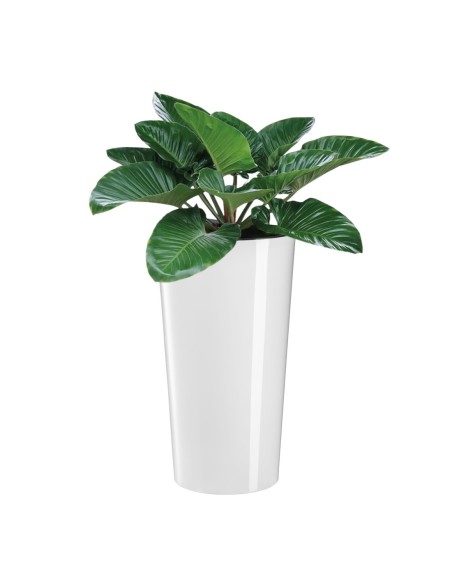 Juego de 2 maceteros redondos altos Ø25 × 47 + Ø29 × 57 cm brillantes con sistema de riego – Blanco | Töpferkönig