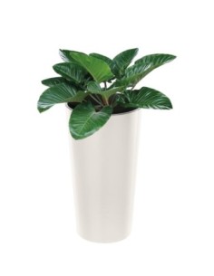 Fioriera rotonda XXL alta Ø40 × 75 cm lucida con sistema di irrigazione, 76 L – Crema | Töpferkönig 2
