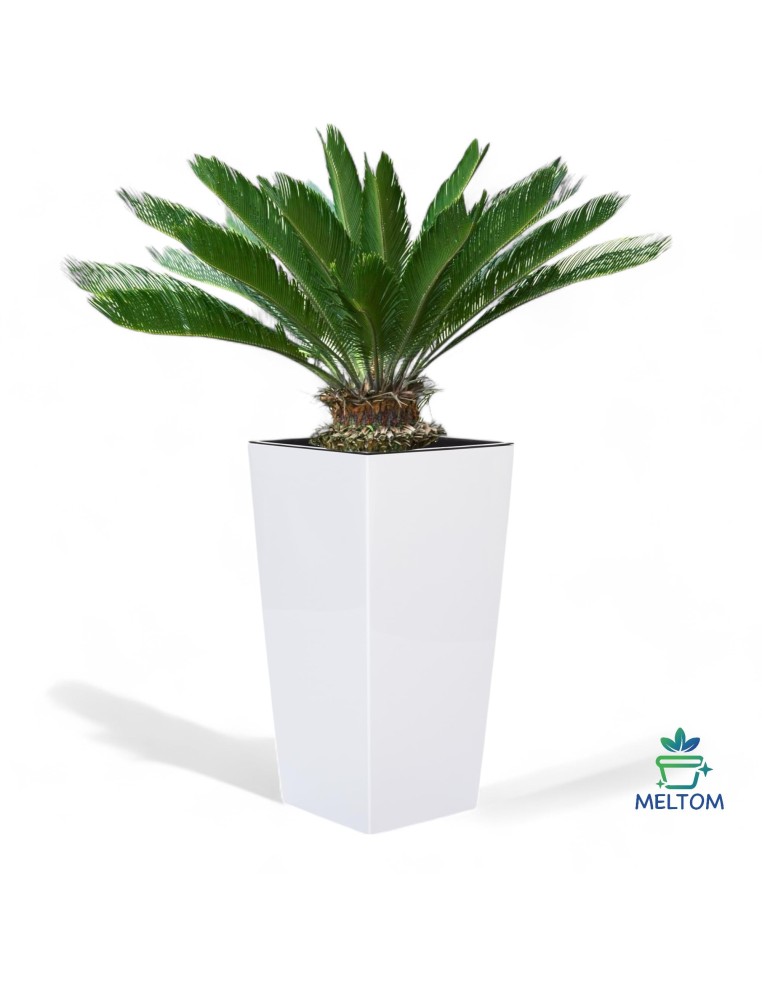 Plantenbak vierkant hoog 39 × 39 × 75 cm met bewateringssysteem, 100 L – Wit | Töpferkönig