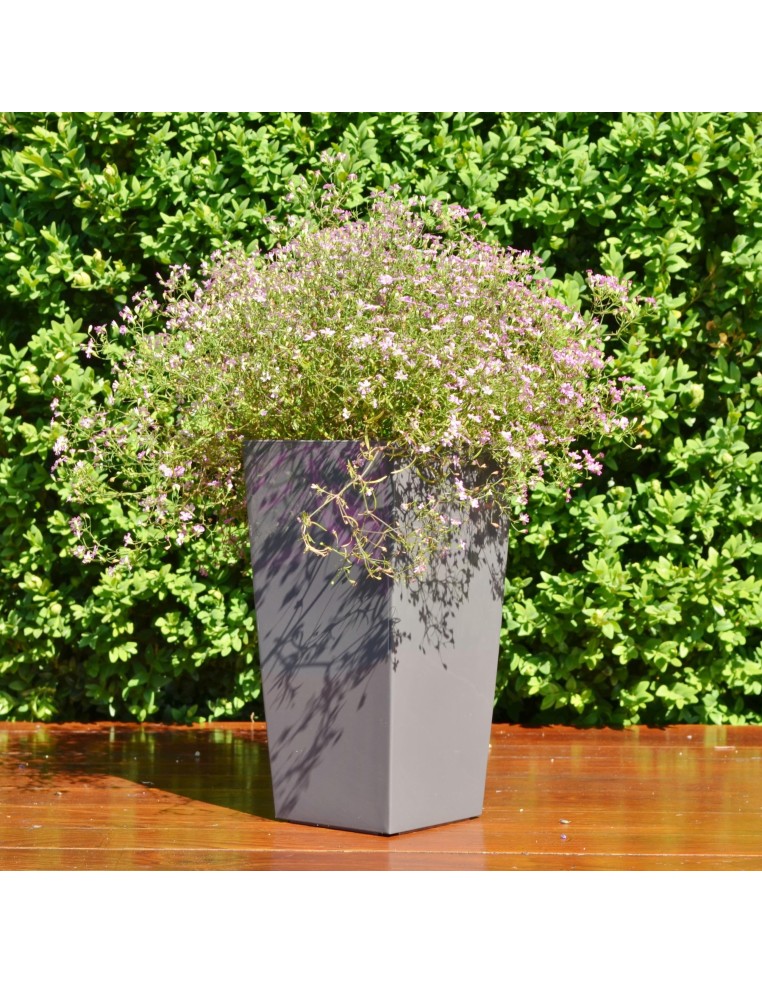 Macetero cuadrado S alto 13 × 13 × 26 cm brillante, 3,5 L – Antracita | Töpferkönig