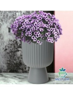 Plantenbak rond hoog Ø39 × 57 cm met bewateringssysteem, 42 L – Grijs | Töpferkönig 2