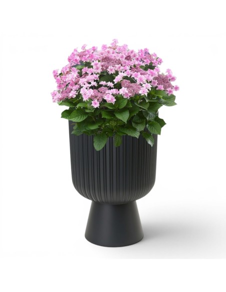 Fioriera rotonda XXL alta Ø39 × 57 cm, 42 L – Antracite | Töpferkönig
