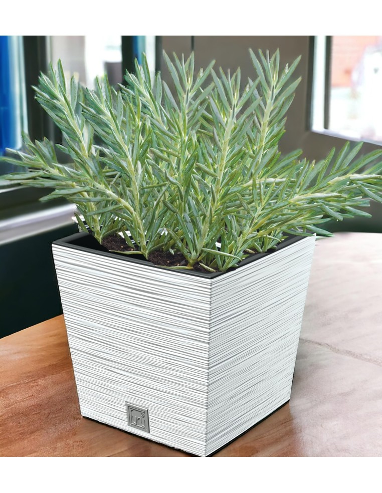Vaso quadrato L 23 × 23 × 23 cm rigato, 10 L – Bianco | Töpferkönig