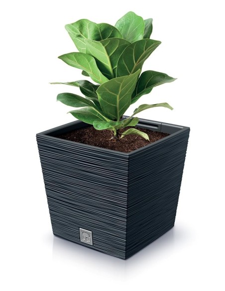 Bloempot vierkant XL 29 × 29 × 28 cm geribbeld, 19 L – Antraciet | Töpferkönig