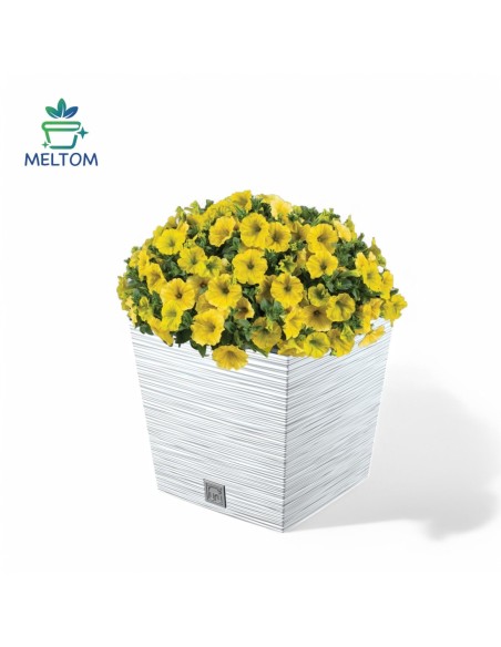 Maceta cuadrada XL 29 × 29 × 28 cm estriada, 19 L – Blanco | Töpferkönig
