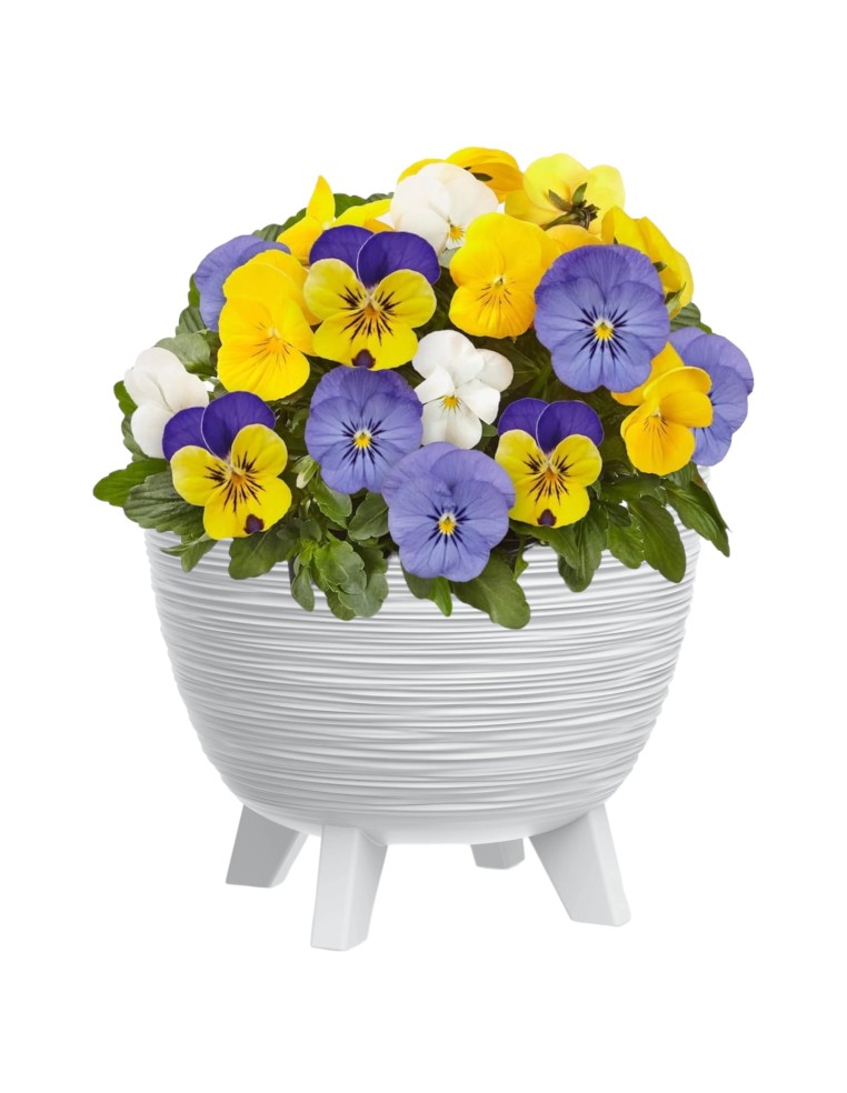 Pot de fleurs rond M Ø29 × 24 cm strié, 9,5 L – Blanc | Töpferkönig
