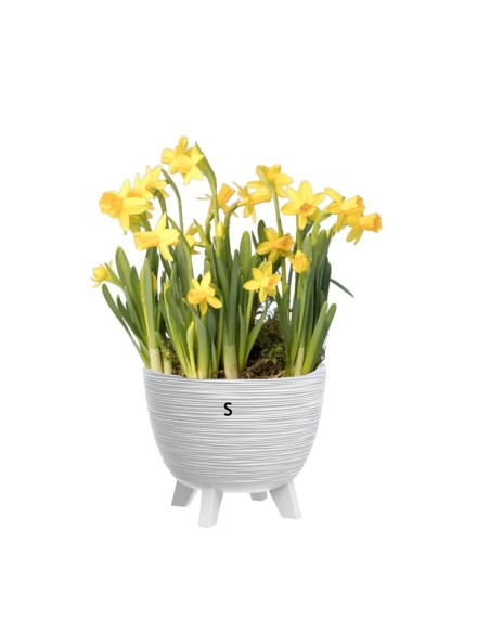 Maceta redonda S Ø24 × 20 cm estriada, 26 L – Blanco | Töpferkönig