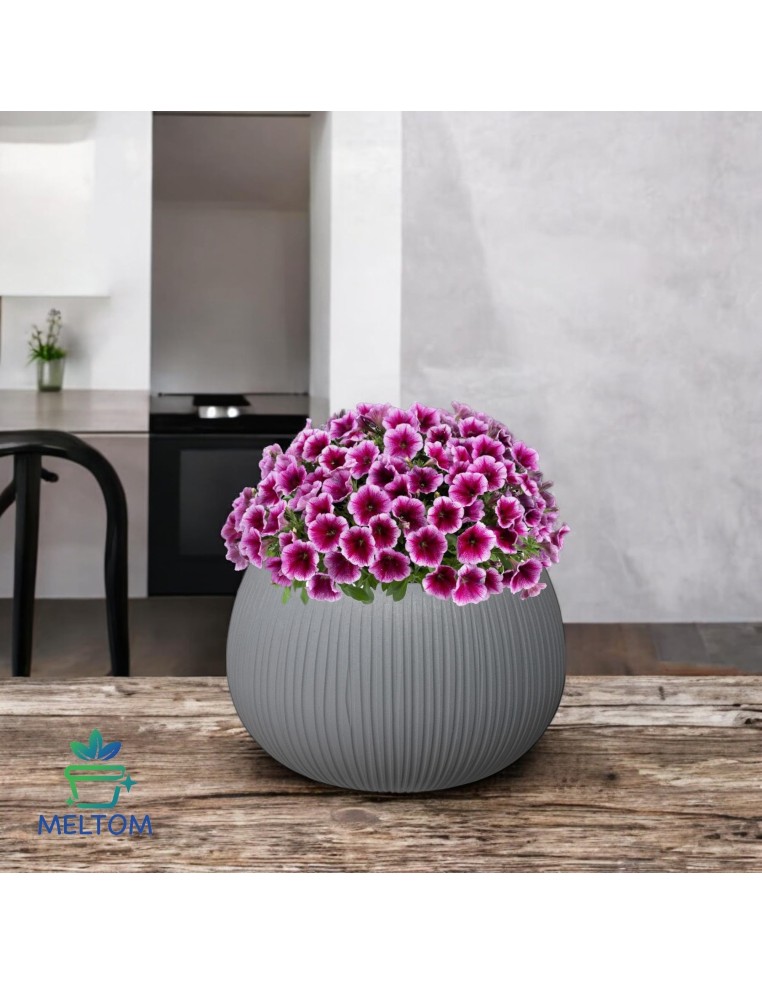 Cuenco para plantas redondo M Ø24 × 17 cm efecto hormigón, 2,3 L – Gris | Töpferkönig