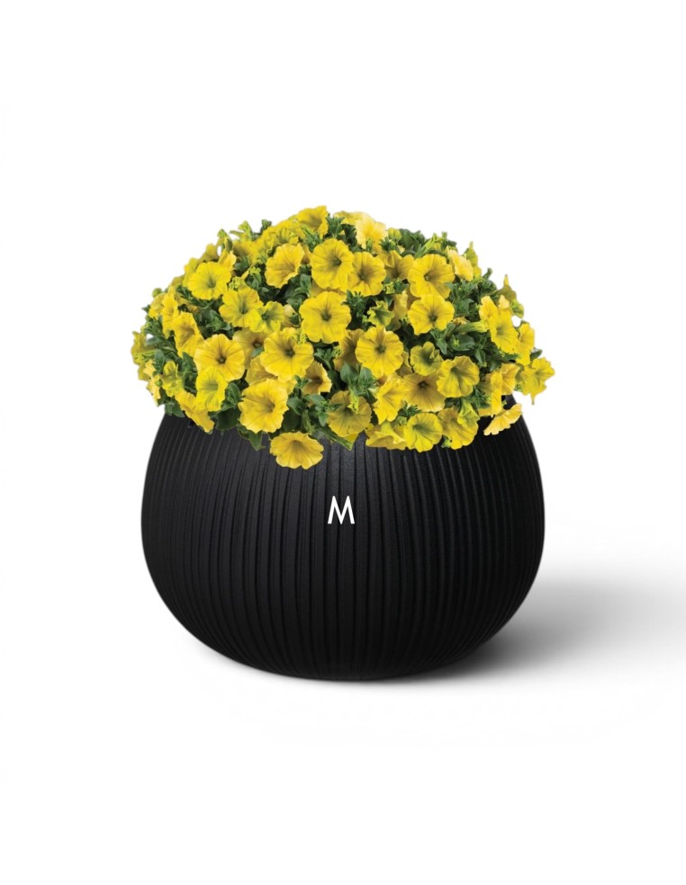 Ciotola per piante rotonda M Ø24 × 17 cm effetto cemento, 2,3 L – Nero | Töpferkönig