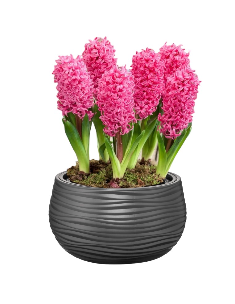 Vasque ronde S Ø32 × 20 cm à relief ondulé, 12,8 L – Anthracite | Töpferkönig