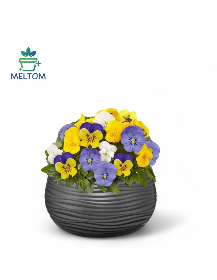 Vasque ronde S Ø32 × 20 cm à relief ondulé, 12,8 L – Anthracite | Töpferkönig